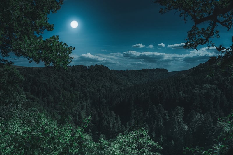 Mystical Moon Priestess
